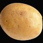 @MrPotato_Potato