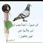 @زيادالاعلي