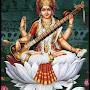 @AyushsinghCACSaspirant1912