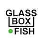 @glassboxfish