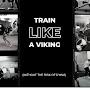 @viking_training_system
