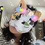 @Kitty-cookie-r8j