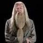 @albusdumbledore271