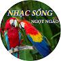 @nhacsongngotngao1967