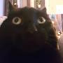 @ayoooooooooooooooooooooooooooo