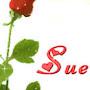 Sue S