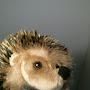 Hedgevald