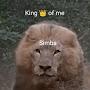 @Simba-k9s
