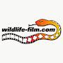 @Wildlife-film