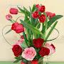 @Myexperiencesoflife