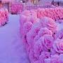 @NasimAkthar-oo3mc