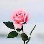 @mimounidjemaachaimaa6441