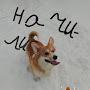 @Георгий-в9ш