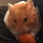 @letspsychology5240