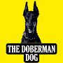 @thedobermandog115