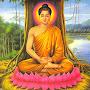 @dhammavoice1667