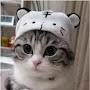 @Cat-live1476