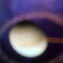 @Earth2058