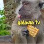 GALADIA TV