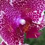 @Tina-gm4rt