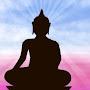 @dhamma.V