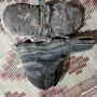 @john-henryrabb3357