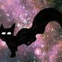 @galaxycat720