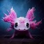 Kawaii Axolotl ʕ•ᴥ•ʔ
