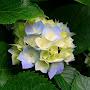 @knowledgeworld796
