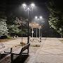 @psiholog3469