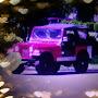 CJ7 girl