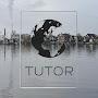 @tutor-oversimplified3394