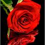 @OktoberUberlebende