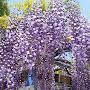 @toyetcerezo8723