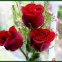@Azizkhan78623