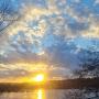 @olgasivelier1917