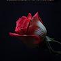 @Uzair464