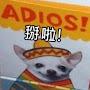 @阿秉扁