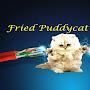 Fried Puddycat Gamer