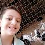 @celularjoao2508