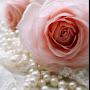 @PearlandRosecrafts