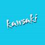 @kawsakiTV