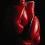 @speedbagboxer7451