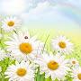 @MariaCermak