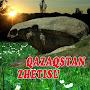 @zhalun1973