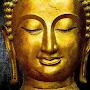 @buddha1529