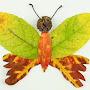 @laliththushantha4553