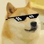 @Imscatman-g1u