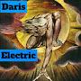 Daris Electric INCORPORATED :3