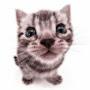 @John_Doe_15